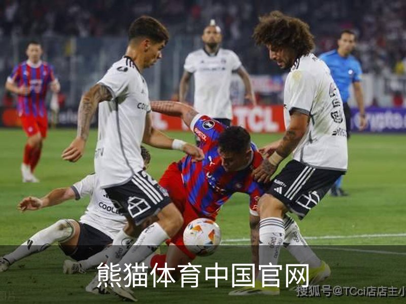 关于熊猫体育中国官网